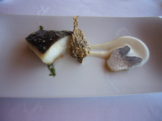 turbot