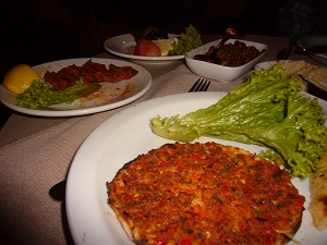 starter