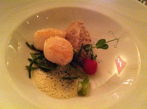 scallops