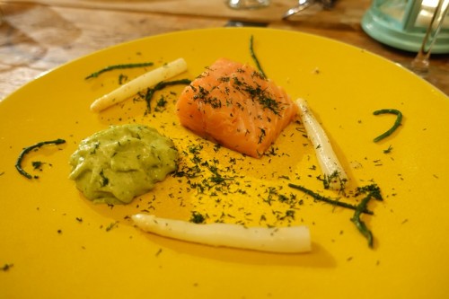 Justin Brown Verzet - salmon